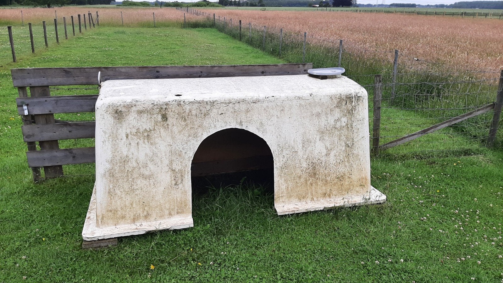 Schuilhok iglo €20,00, Dieren en Toebehoren, Ophalen