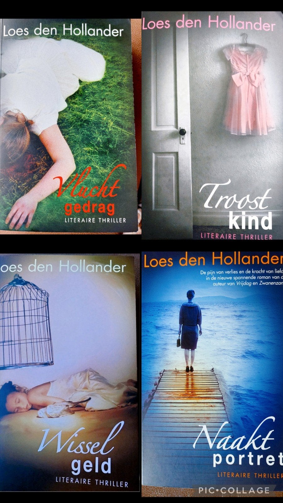 Loes den Hollander - Naakt Portret, Wisselgeld vluchtgedrag,, Ophalen of Verzenden, Zo goed als nieuw, Loes den Hollander, Nederland