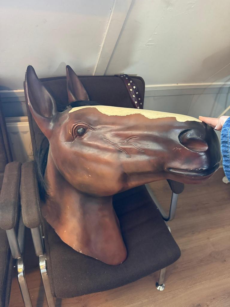 Paardenhoofd polyester voor aan de wand, Ophalen of Verzenden