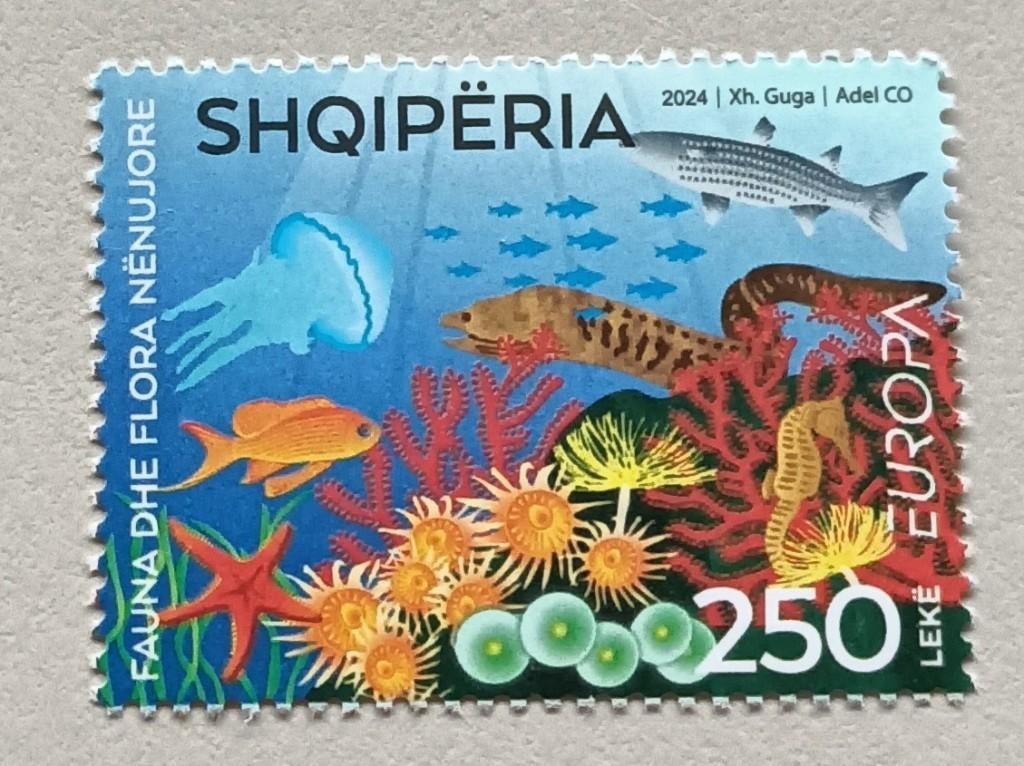 Albanie-Albania 2024 cept, Ophalen of Verzenden, Overige landen, Postfris