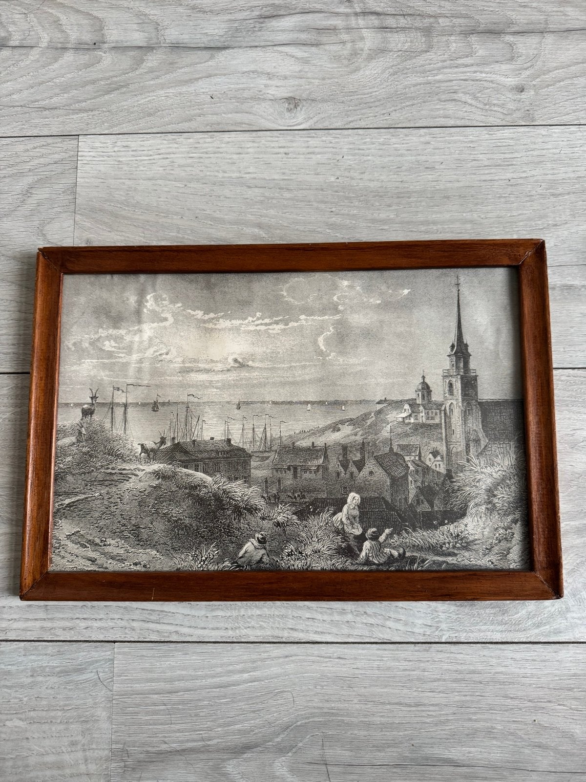 Scheveningen de duinen (ets/gravure), Antiek en Kunst, Ophalen of Verzenden, Landschap, Ets, 1800 - 1899