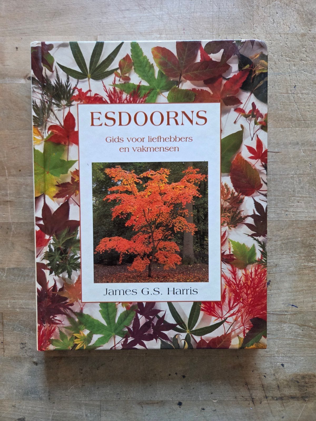 Esdoorns: Gids voor liefhebbers en vakmensen, Boeken, Verzenden, Gelezen, Bloemen, Planten en Bomen, James G.S. Harris