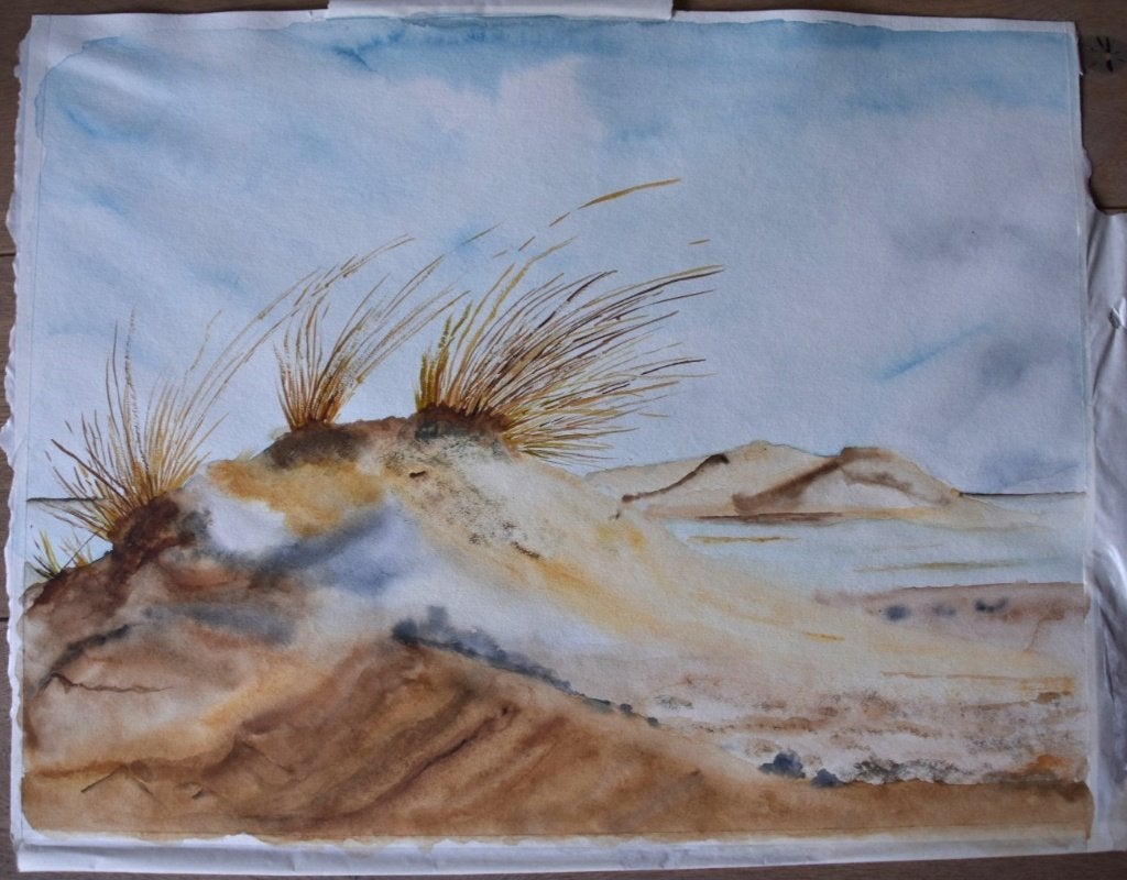 Aquarel duinlandschap 50x65 cm, Antiek en Kunst, Ophalen, Realistisch, Landschap, Aquarel