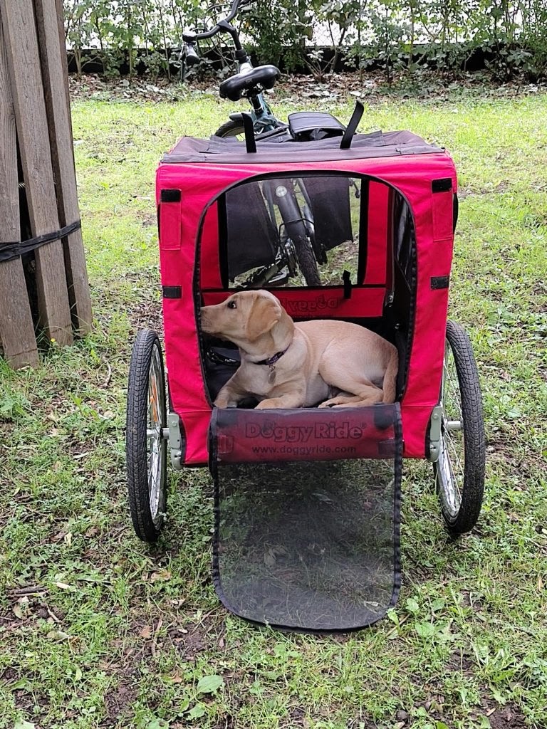 Doggy ride, Ophalen, Gebruikt, Opvouwbaar, 20 tot 40 kg