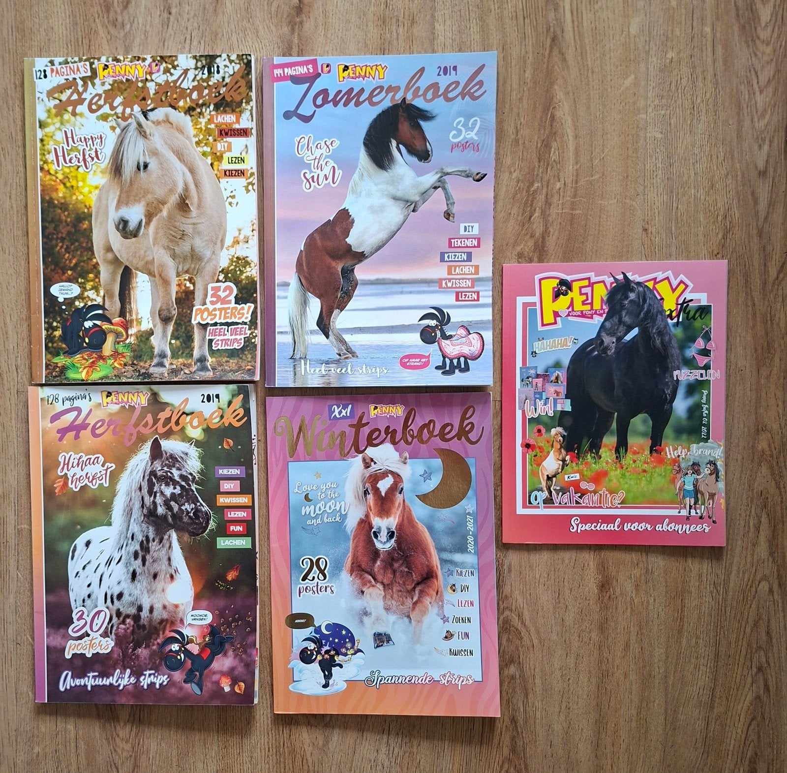 Penny seizoenboeken + Penny Extra, Ophalen of Verzenden, Zo goed als nieuw, Overige typen