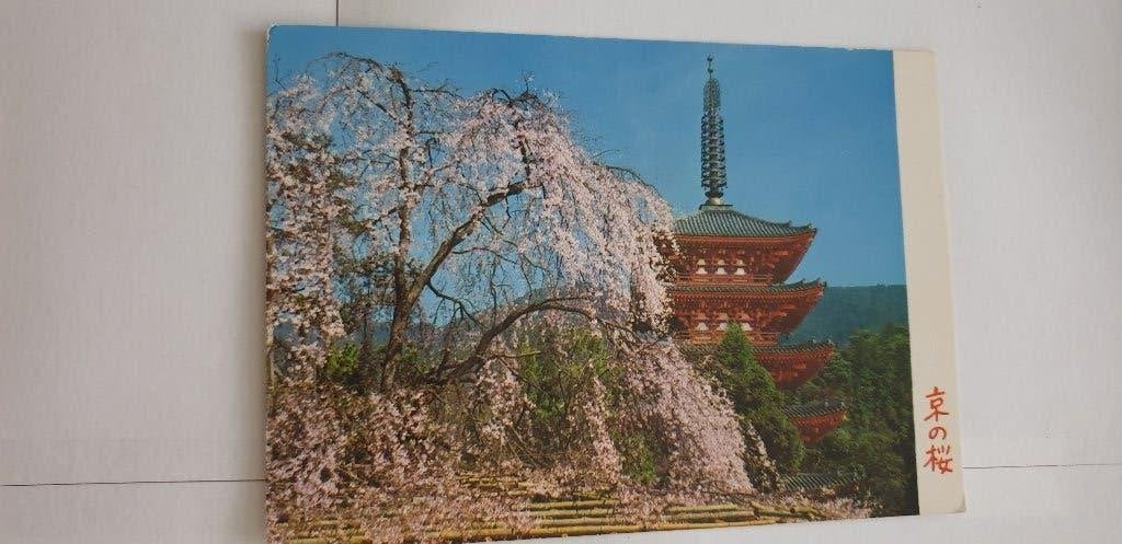 7172 hong kong cherry blossoms daigoji temple in kyoto, Verzenden, Voor 1920, Frankrijk
