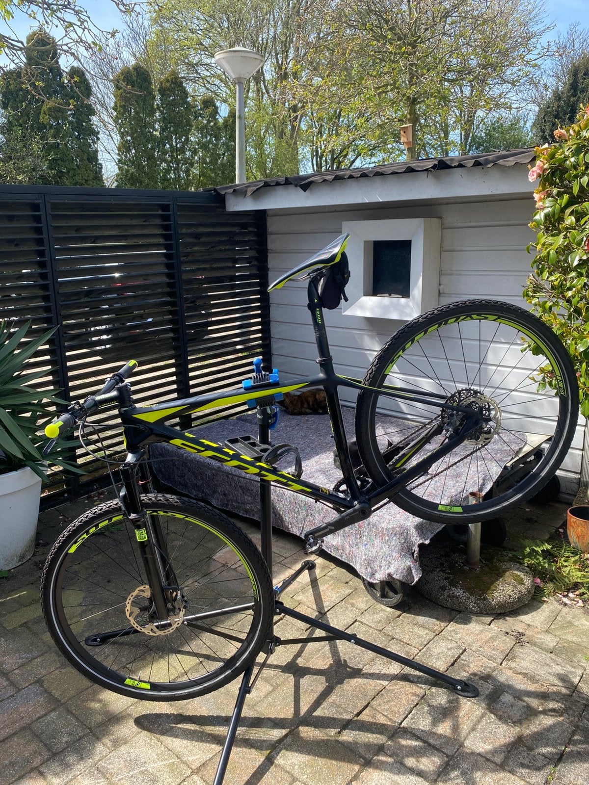 Scott Scale 900 RC Carbon MTB, Zo goed als nieuw, Schijfrem, 53 tot 57 cm, Ophalen