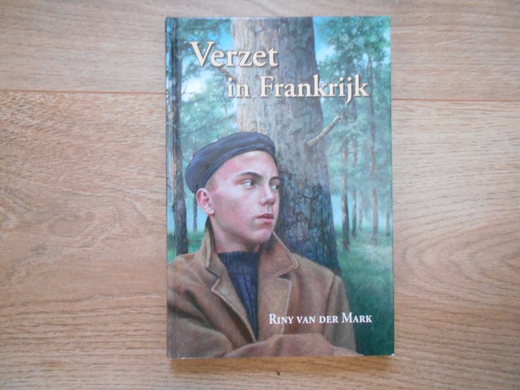 Riny van der Mark Verzet in Frankrijk, Boeken, Ophalen of Verzenden, Tweede Wereldoorlog, Zo goed als nieuw, Overige onderwerpen