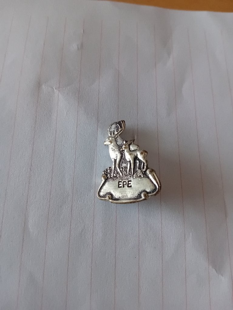 Speldje - EPE, Ophalen of Verzenden, Zo goed als nieuw, Stad of Land, Speldje of Pin