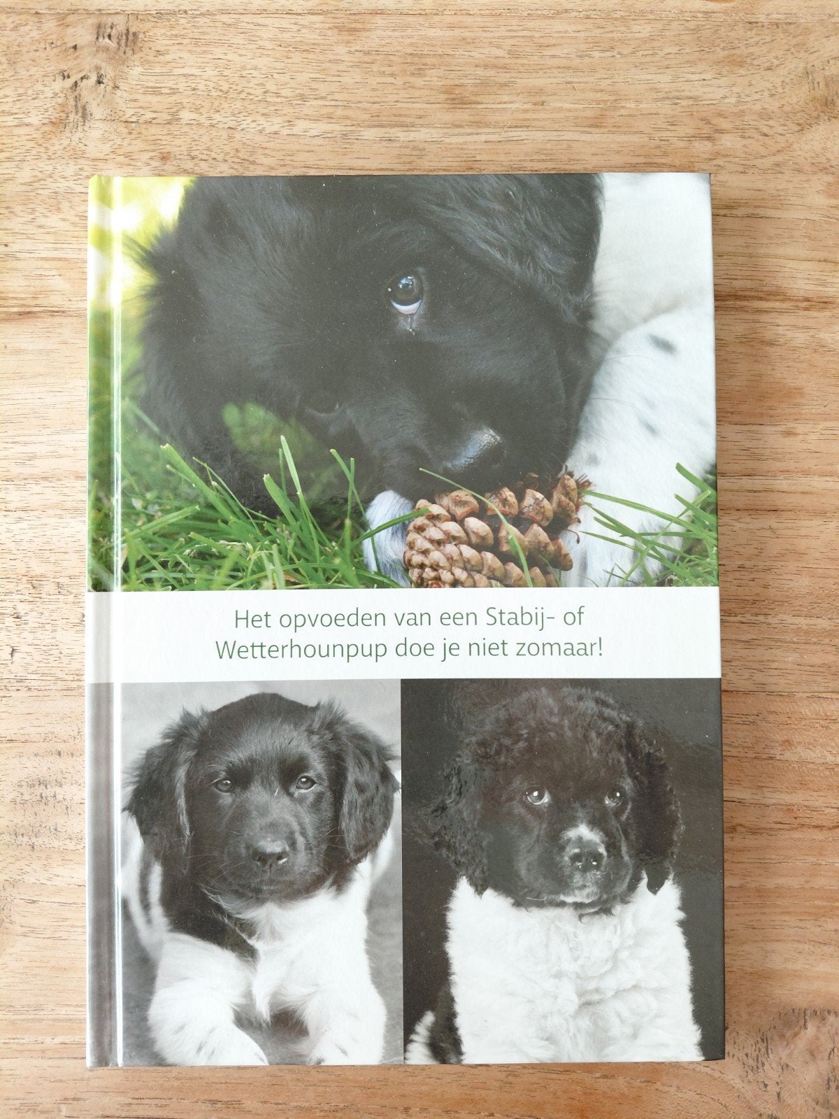 Het opvoeden van een Stabij- of Wetterhounpup..., Ophalen of Verzenden, Nieuw, Honden