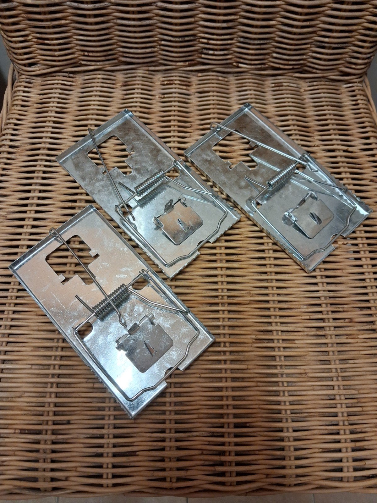 3x rattenvallen - Effectieve Ongediertebestrijding, Ophalen of Verzenden