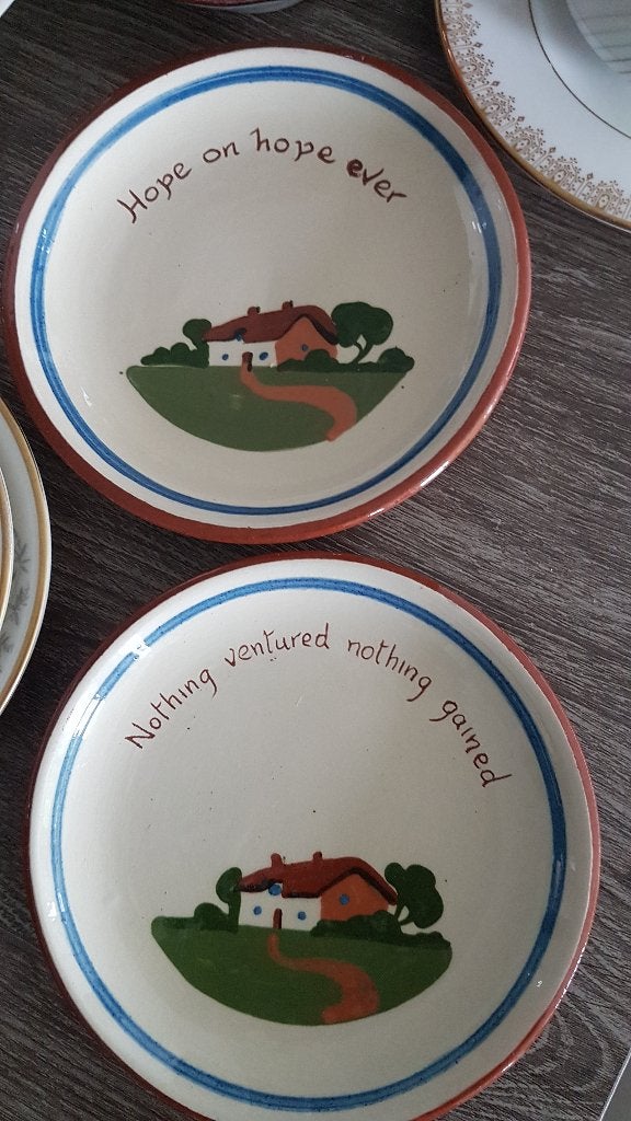 Bordjes Darthmouth Pottery, Ophalen, Gebruikt, Overige merken, Vintage