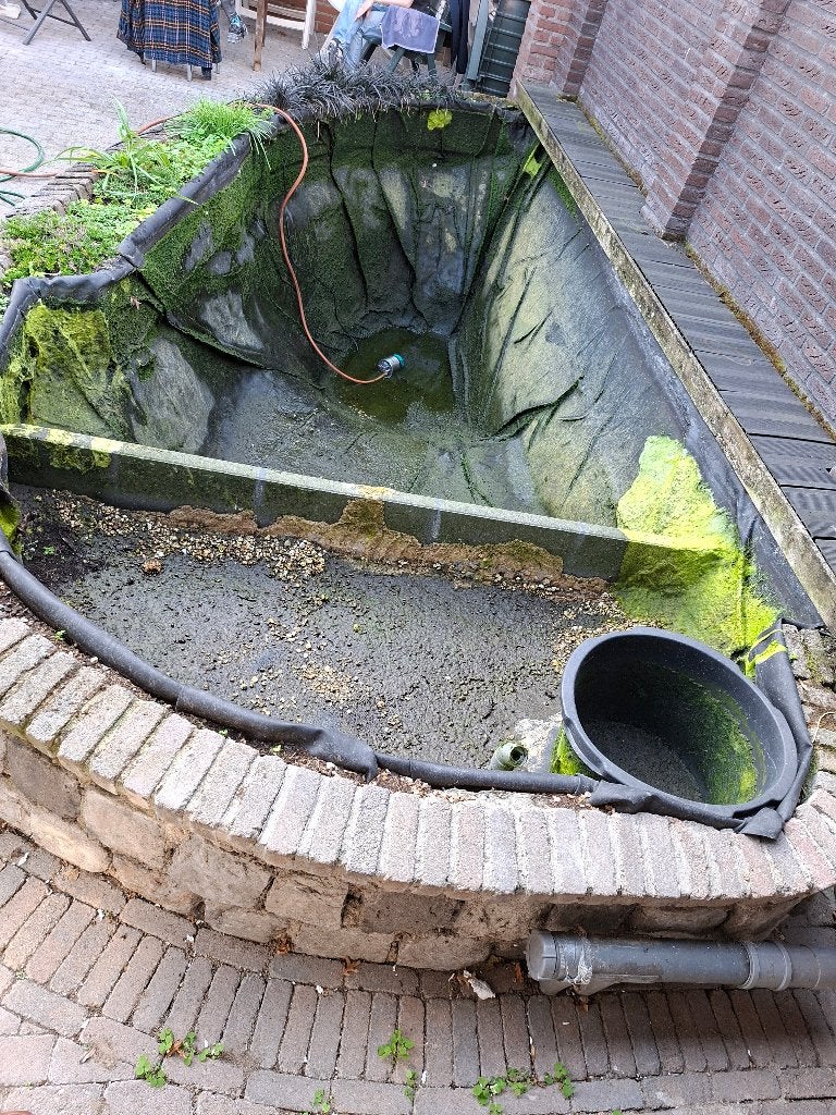 Koi karper vijverfolie/bakrand., Karper of Koi