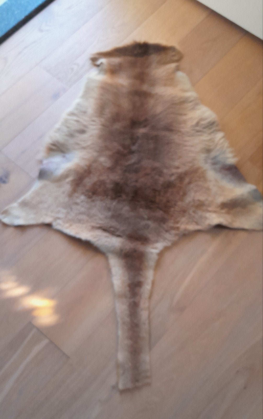 kangaroe vacht, Ophalen of Verzenden, Laminaat