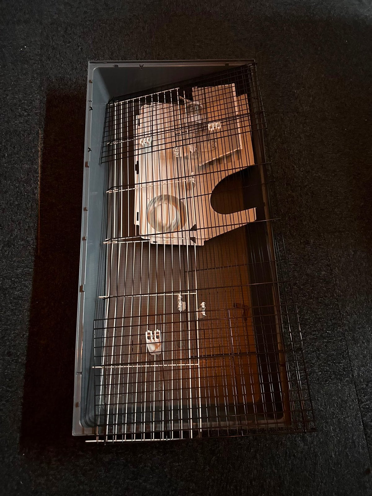 Gratis binnenhok, Kooi, 110 cm of meer, Zo goed als nieuw, Cavia