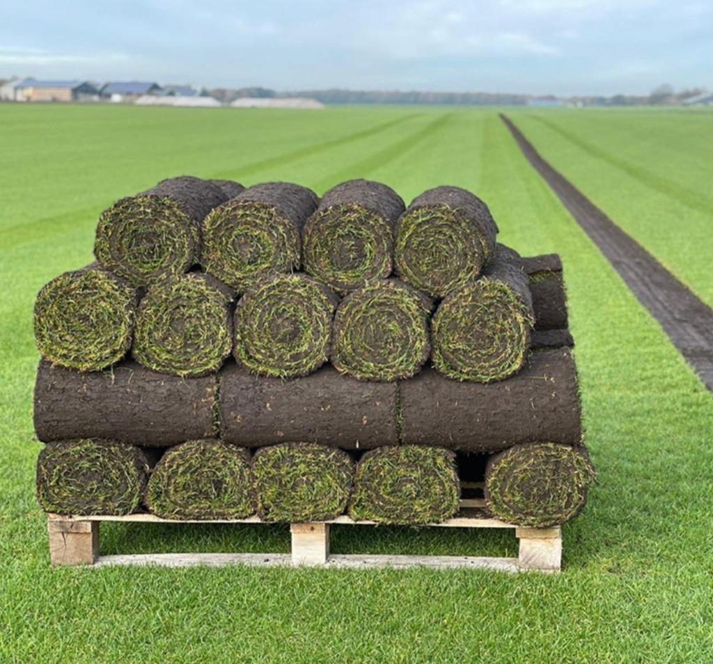GEZOCHT graszoden, Ophalen, Nieuw, Gras