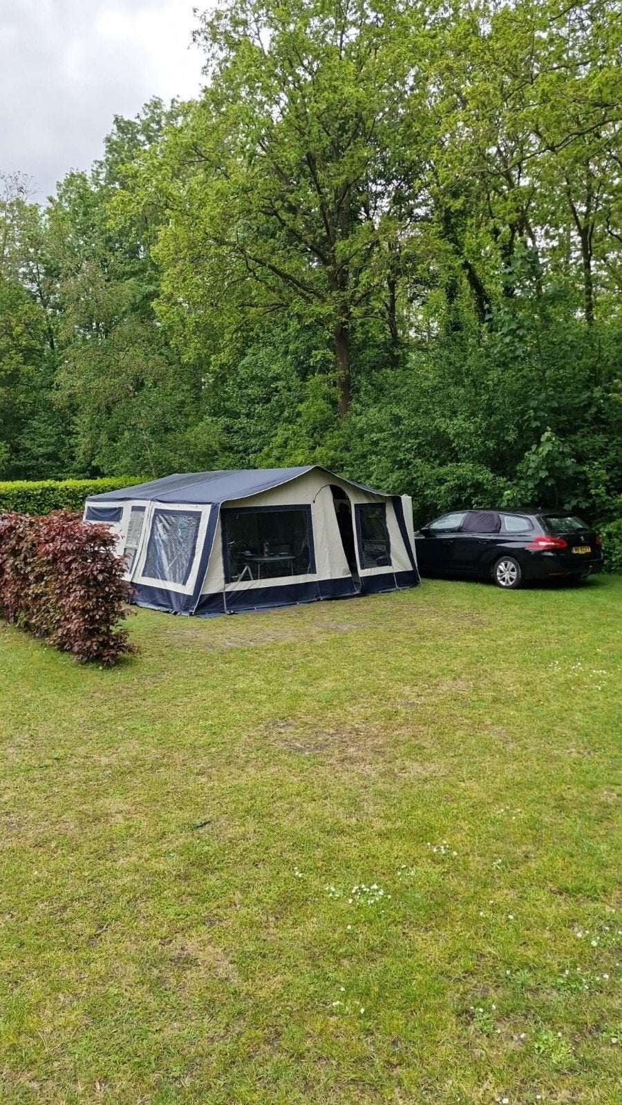 Roadmaster Family S vouwwagen (2011) - Recent onderhoud, Blauw, Aanwezig, Meer dan 6, Ophalen