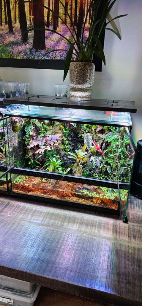 Paludarium terrarium  45/45/60b, Ophalen, Verlichting of Verwarming