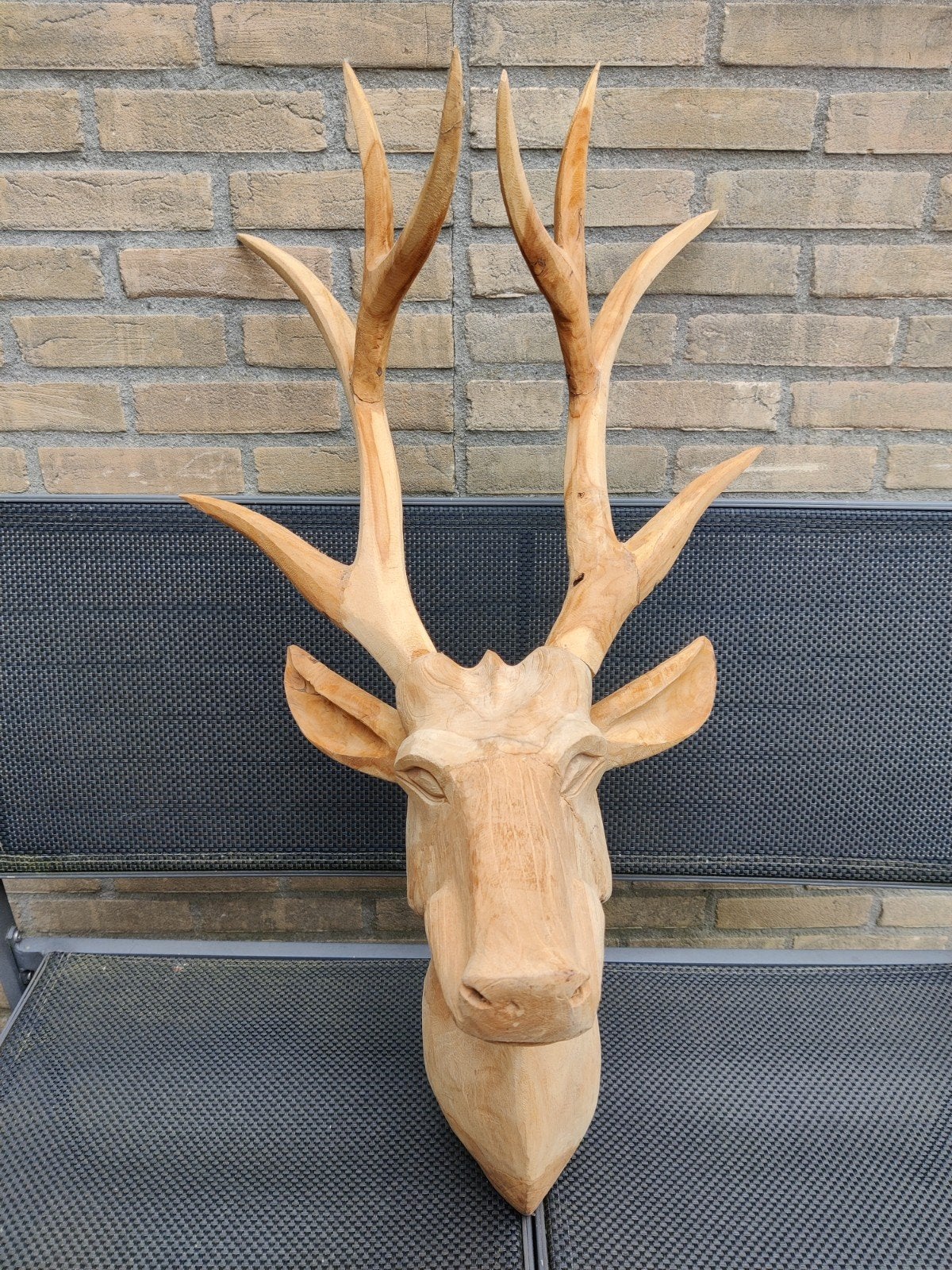 🦌 Teak rendier kop 🦌, Ophalen of Verzenden, Zo goed als nieuw, Hert, Gewei of Kop