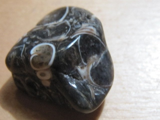 ed. 5x aparte edelsteen TURRITELLA AGAAT (7), Verzenden, Nieuw