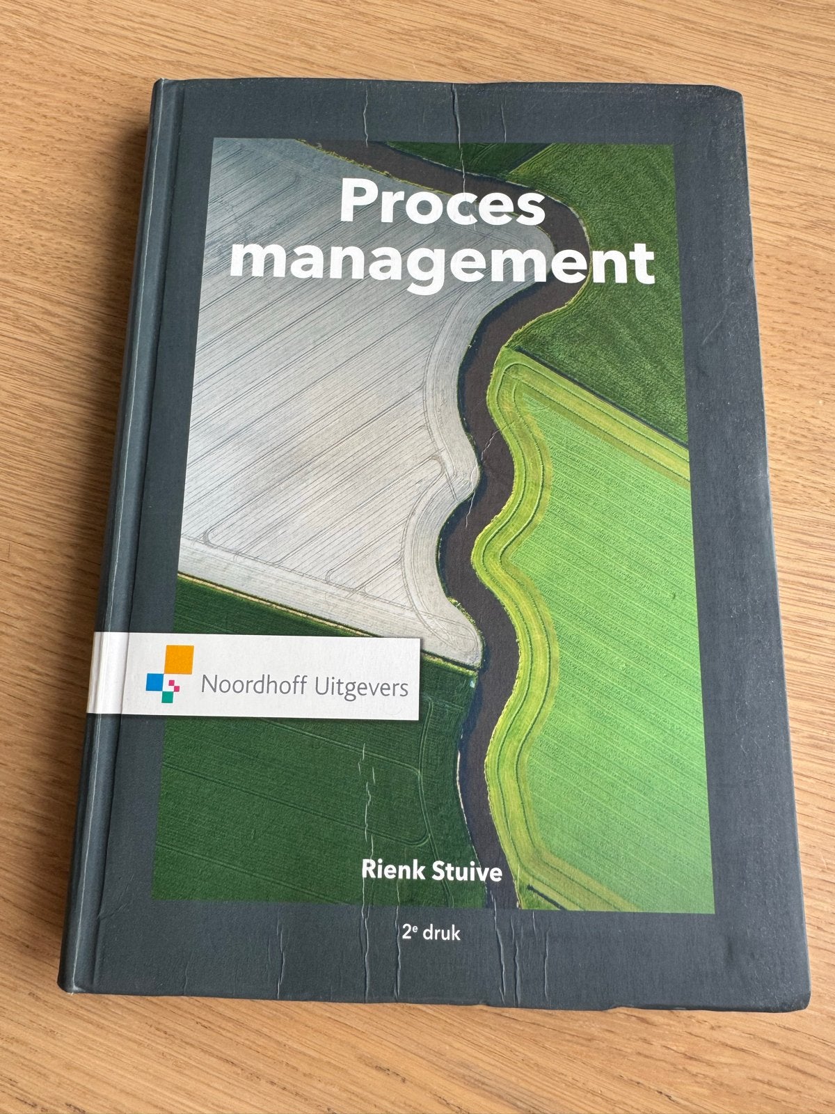 Procesmanagement - Rienk Stuive (2e druk), Boeken, Ophalen of Verzenden, Gamma, Zo goed als nieuw, HBO
