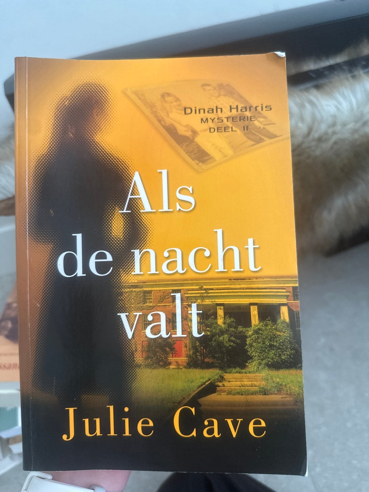 Als de nacht valt - Julie Cave (Dinah Harris Mysterie), Ophalen of Verzenden, Gelezen, Wereld overig