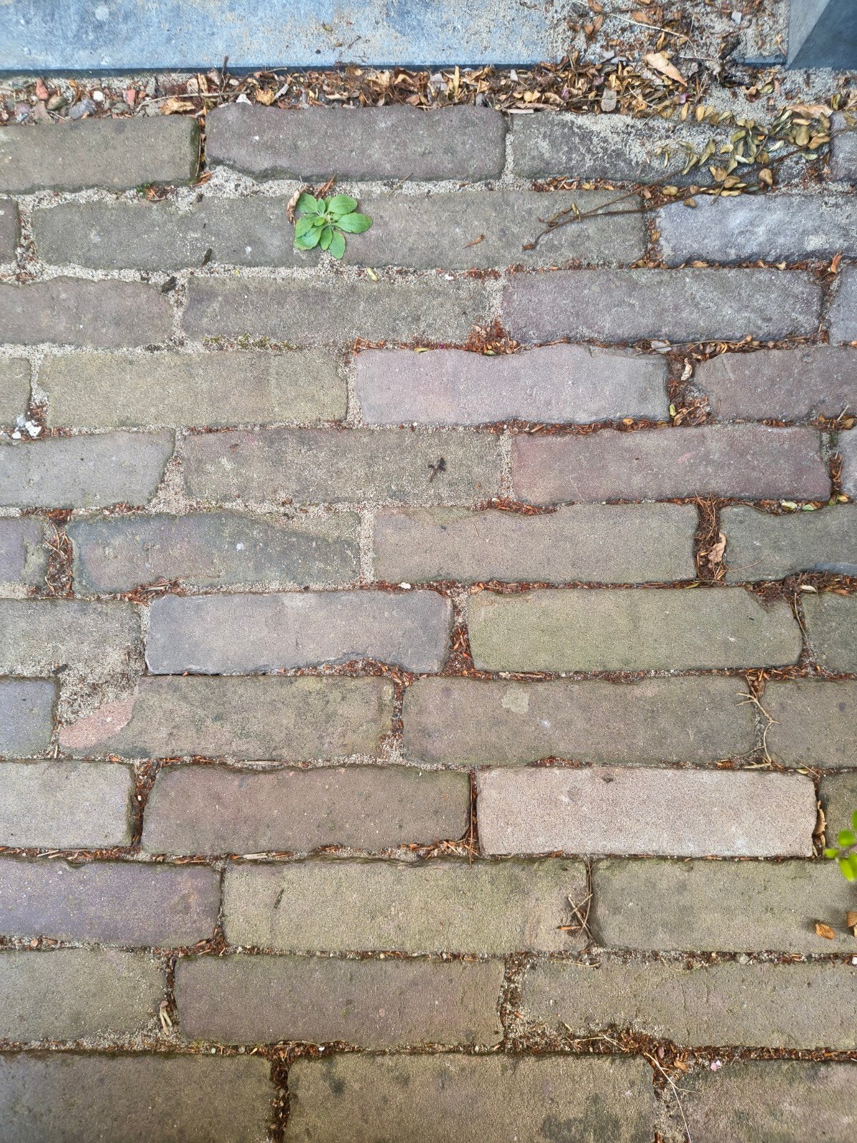Gebakken waaltjes, rood/blauwachtig, ca. 22 m2, Tuin en Terras, Ophalen, Keramiek, Klinkers, Zo goed als nieuw