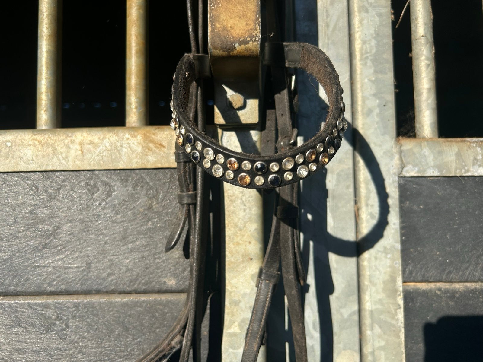 Hoofdstel met lage neusriem met super mooie frontriem!, Hoofdstel, Ophalen of Verzenden, Zwart, Cob