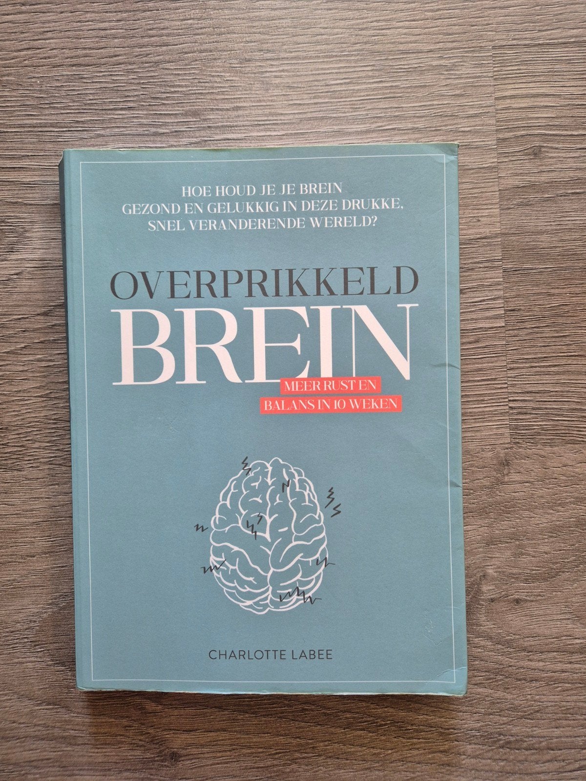 Overprikkeld Brein - Meer rust en balans in 10 weken, Boeken, Ophalen of Verzenden, Zo goed als nieuw, Klinische psychologie, Charlotte Labee