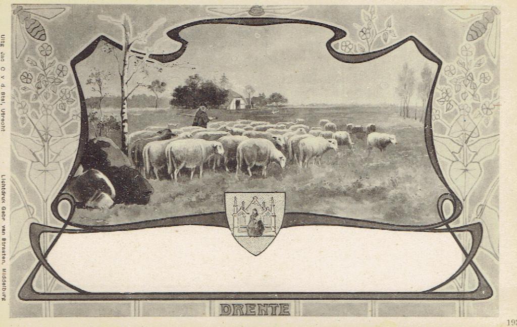 Drenthe - schaapskudde in het veld, Verzenden, Voor 1920, Ongelopen, Drenthe