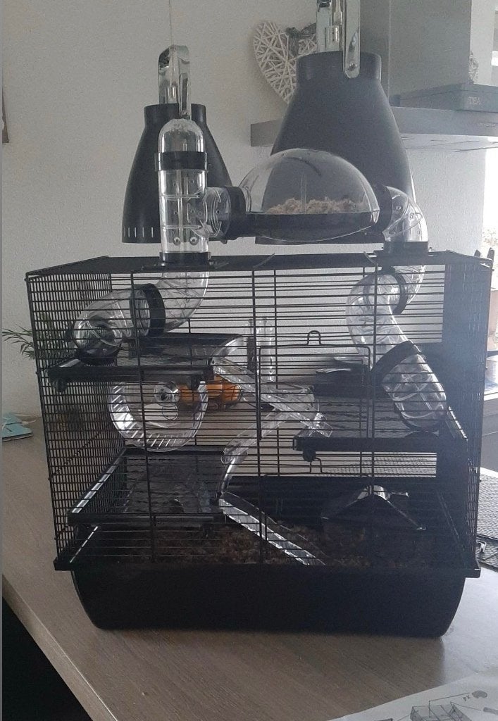 Rufus Hamterkooi, Kooi, Minder dan 75 cm, Zo goed als nieuw, Hamster