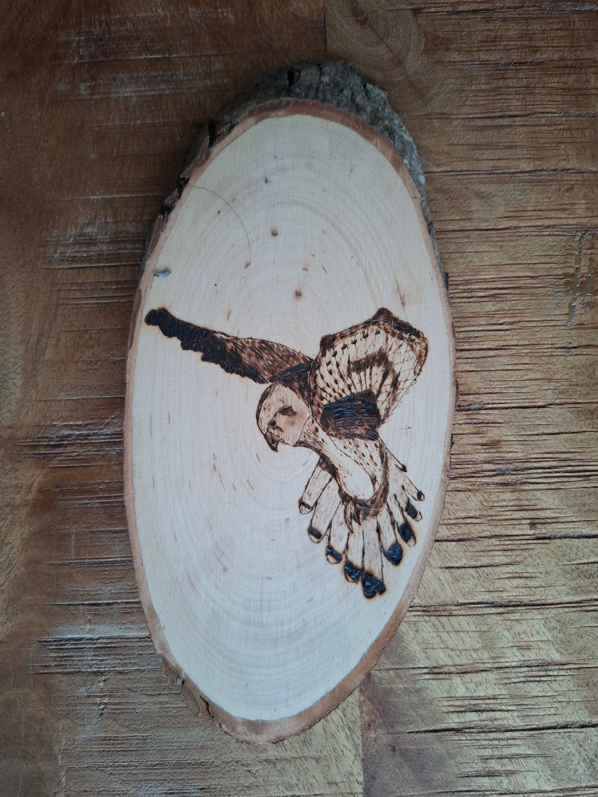 Torenvalk hout gebrand - Pyrografie kunstwerk, Hout, Ophalen of Verzenden, Bruin, Landelijk