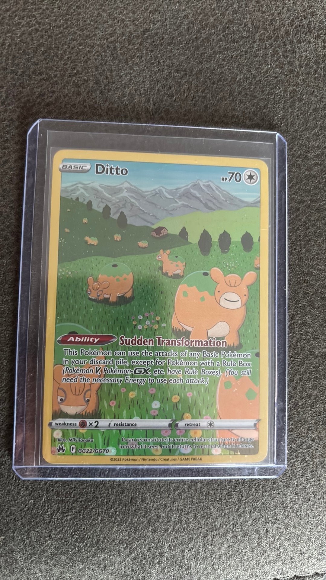 Ditto (GG22/GG70), Ophalen of Verzenden, Zo goed als nieuw