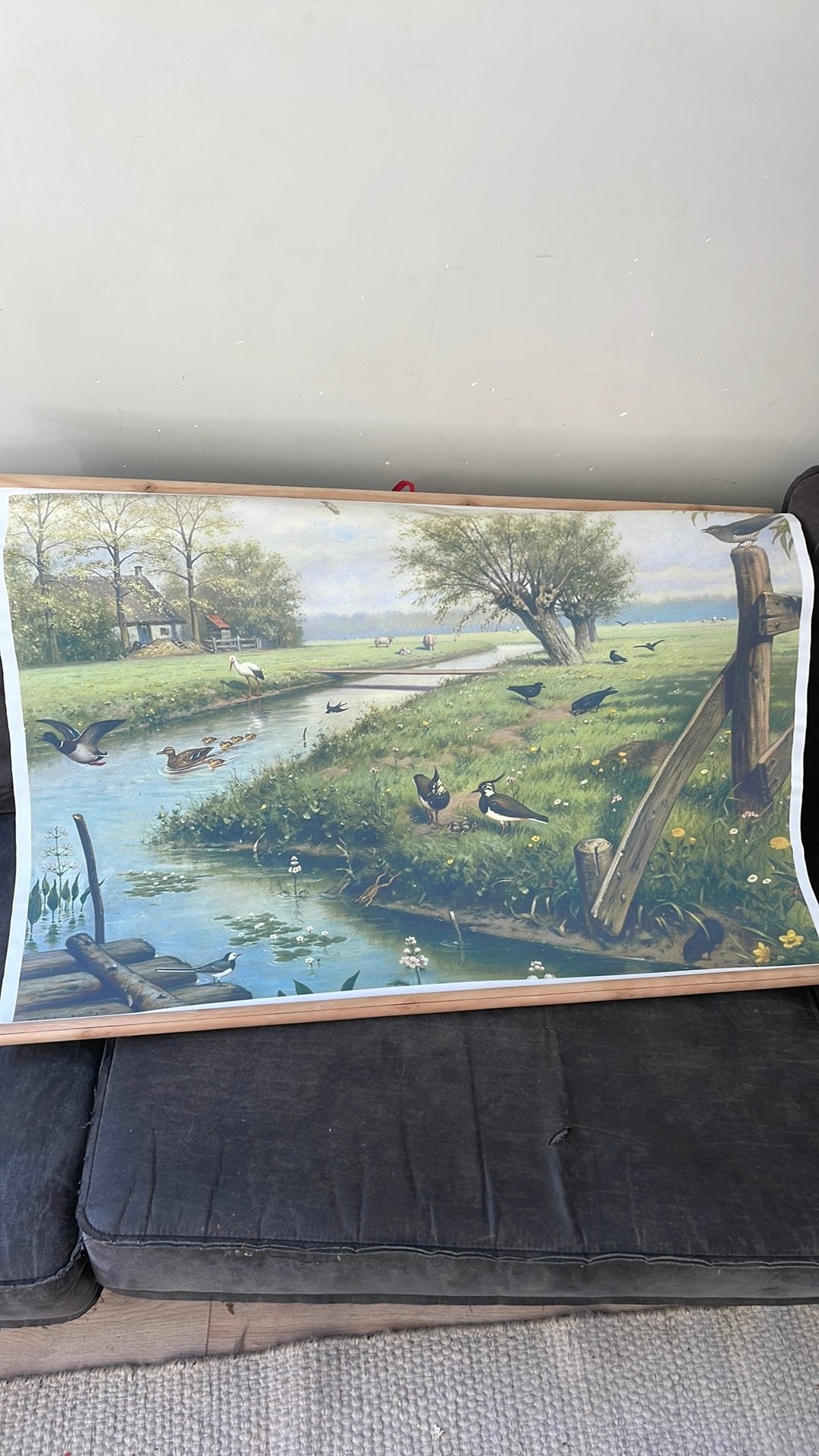 Schoolplaat boerderijvogels, Antiek en Kunst, Antiek | Schoolplaten, Ophalen, Aardrijkskunde