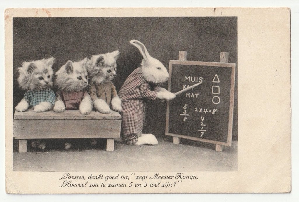 Harry Whittier Frees konijn en poesen in kleding schoolklas, Verzamelen, Verzenden, 1920 tot 1940, Gelopen, Hond of Kat