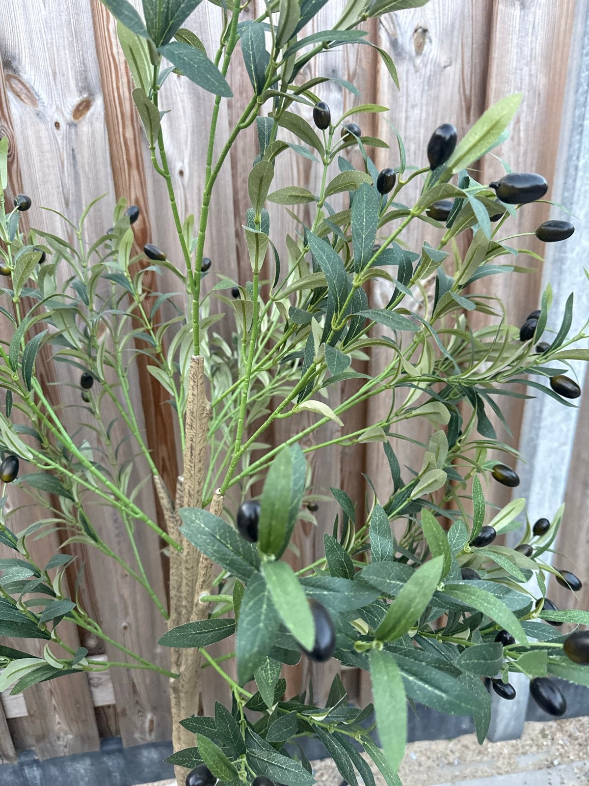 Kunst Olijfboom, Ophalen, Binnen, Groen, Kunstplant