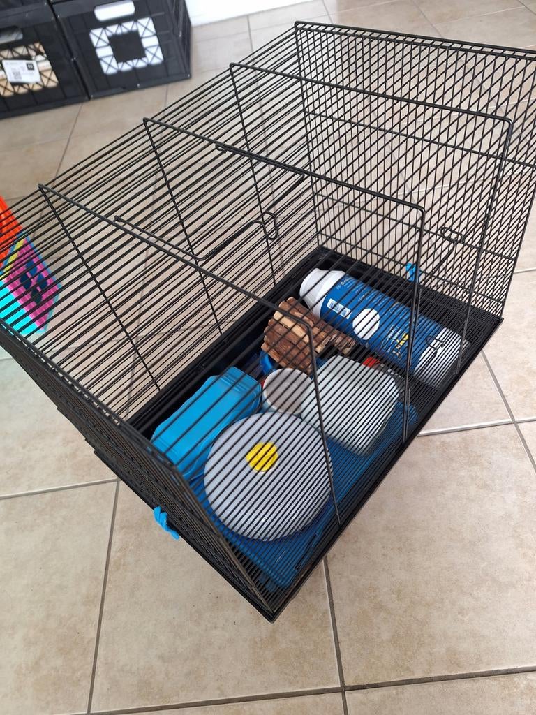 Grote hamsterkooi, Dieren en Toebehoren, Knaagdieren en Konijnen | Hokken en Kooien, Ophalen, Zo goed als nieuw, Kooi, Minder dan 60 cm