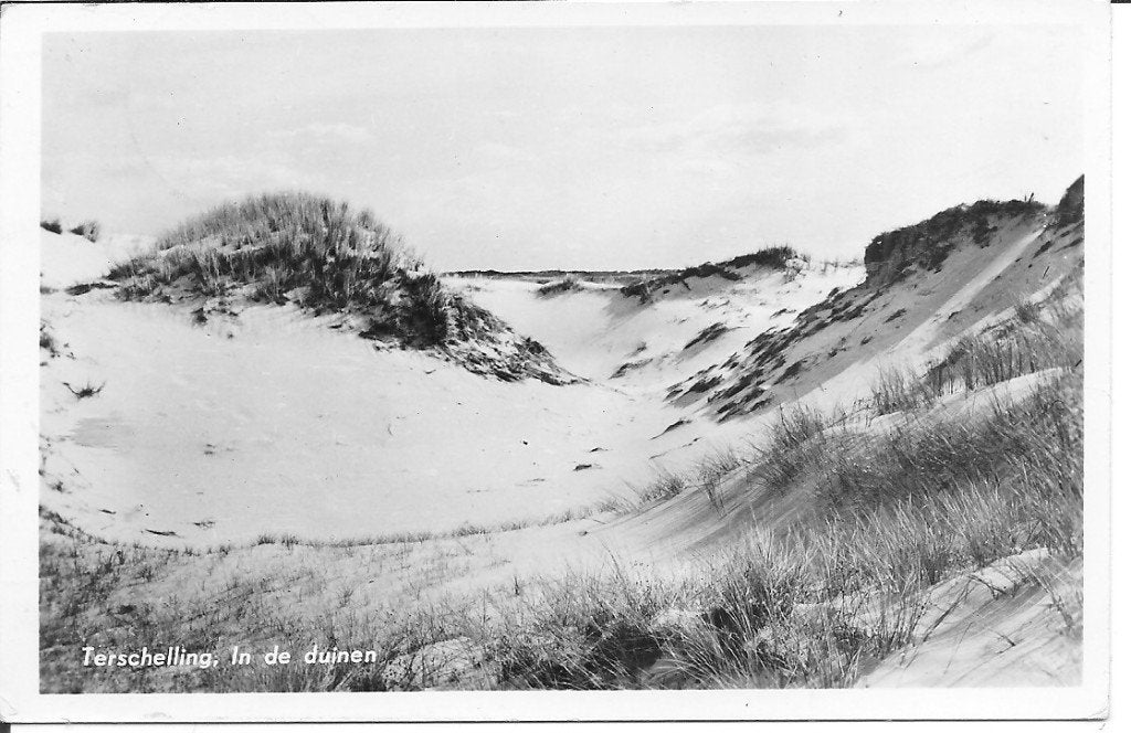 Oude ansichtkaart Terschelling, In de duinen, Ophalen of Verzenden, 1940 tot 1960, Gelopen, Waddeneilanden