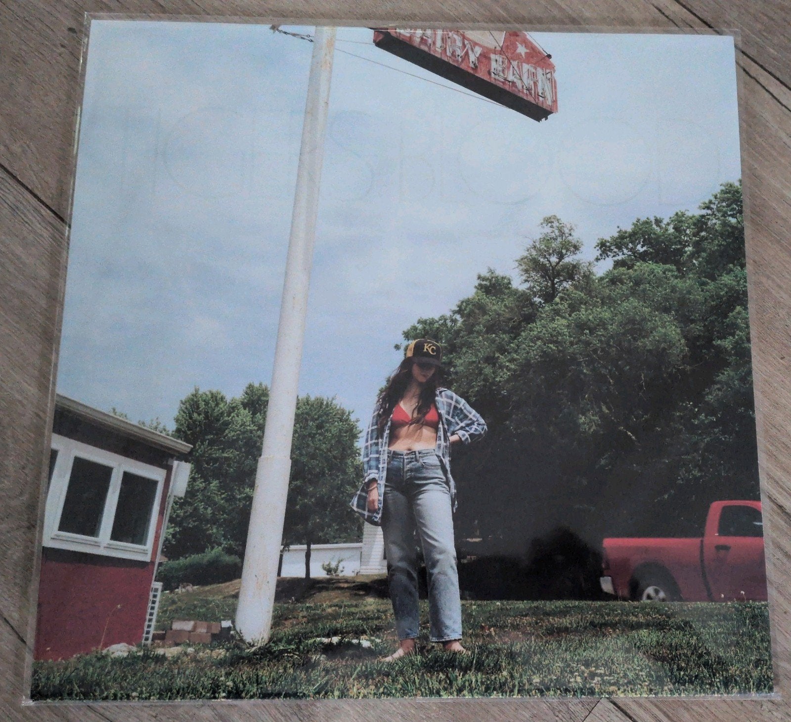 waxahatchee -Tigers Blood limited edition LP, Cd's en Dvd's, LP, Colored vinyl, Ophalen of Verzenden, Zo goed als nieuw