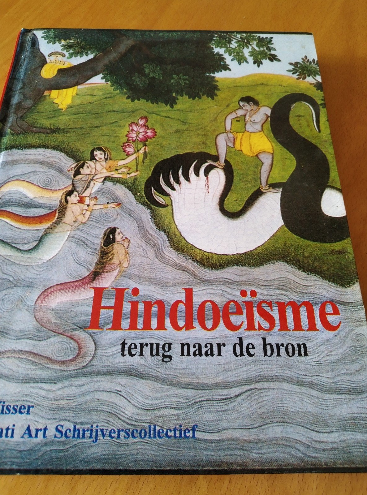 Hindoeïsme: Terug naar de Bron - Spiritueel Boek, Ophalen of Verzenden