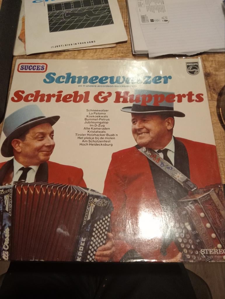 Lp schriebl & hupperts, Ophalen of Verzenden, Zo goed als nieuw, Overige formaten, Levenslied of Smartlap