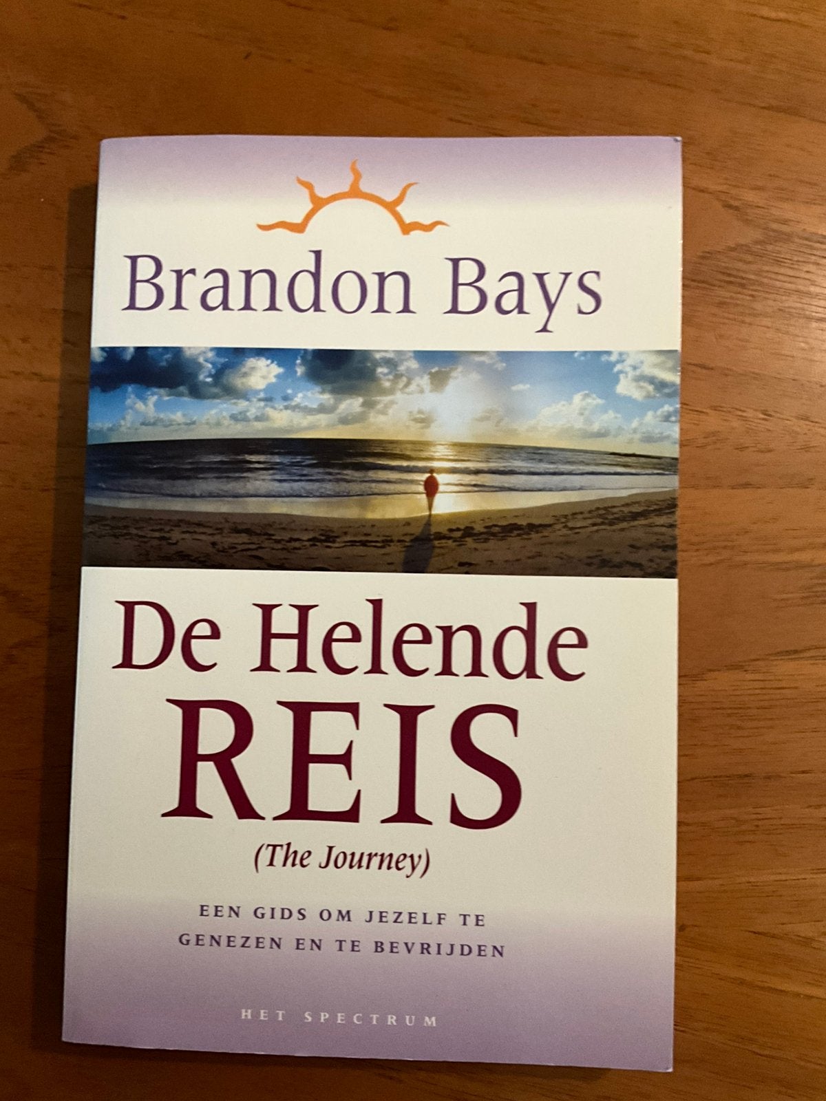 Brandon Bays - De helende reis, Gelezen, Brandon Bays, Sociale wetenschap, Ophalen of Verzenden