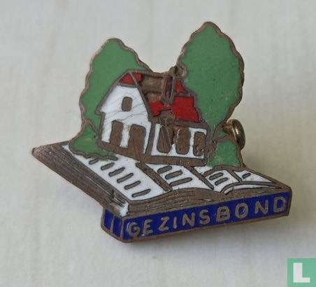 Broche - Gezinsbond, Ophalen of Verzenden, Zo goed als nieuw, Merk, Speldje of Pin