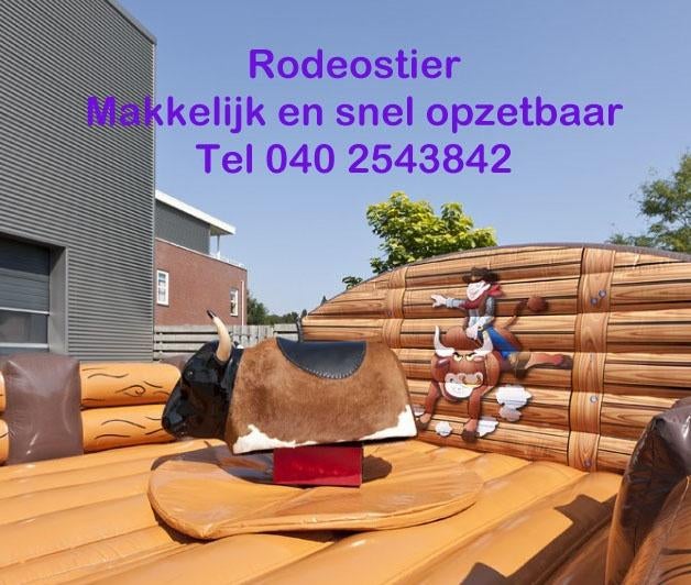 Kleine Rodeo Stier Huren – Feestplezier Gegarandeerd!, Ophalen, Zo goed als nieuw, Verjaardag