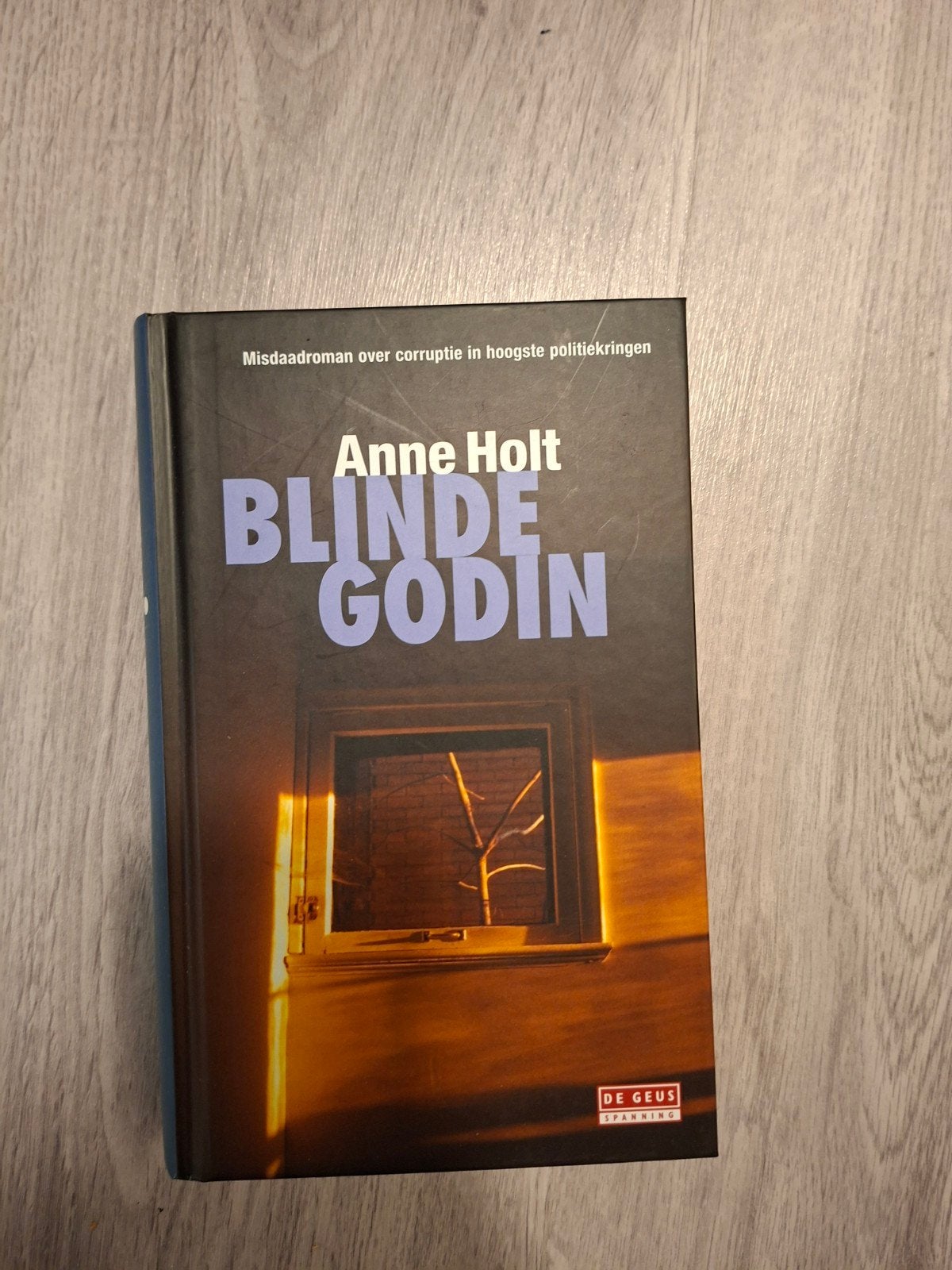 Blinde Godin - Anne Holt (Misdaadroman), Boeken, Ophalen of Verzenden, Zo goed als nieuw, Anne Holt, Scandinavië