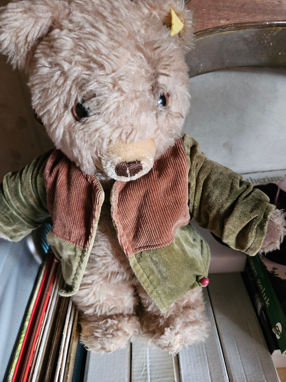 steiff beer luna 28cm, Ophalen of Verzenden
