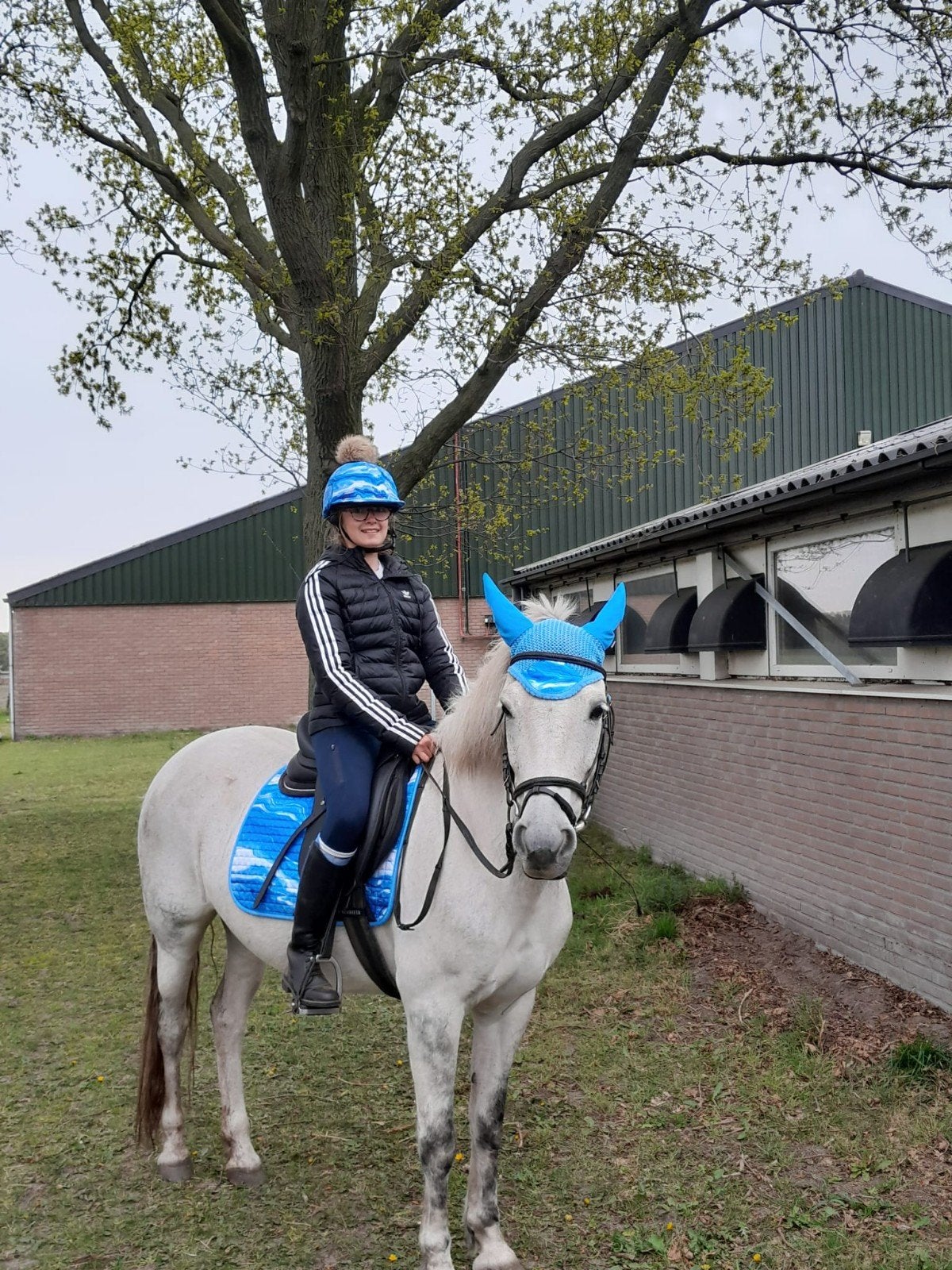 Verzorgdieren gezocht/bijrijder aangeboden/ lease pony gezoc, Ophalen of Verzenden