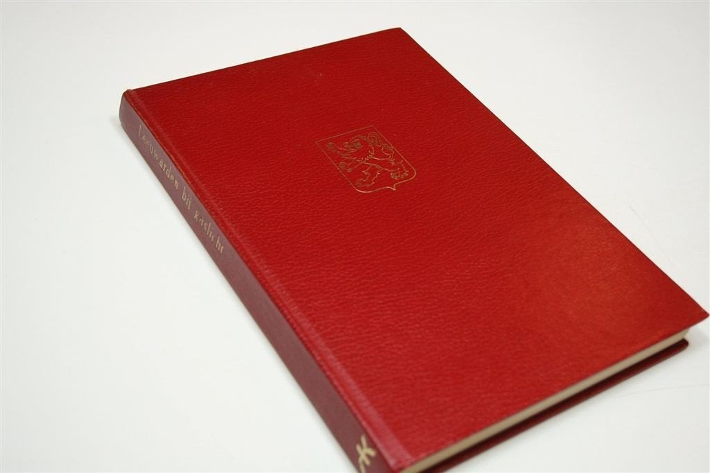 Leeuwarden Bij Gaslicht — Vintage Boek Stadsleven [1974], Ophalen of Verzenden, Gelezen