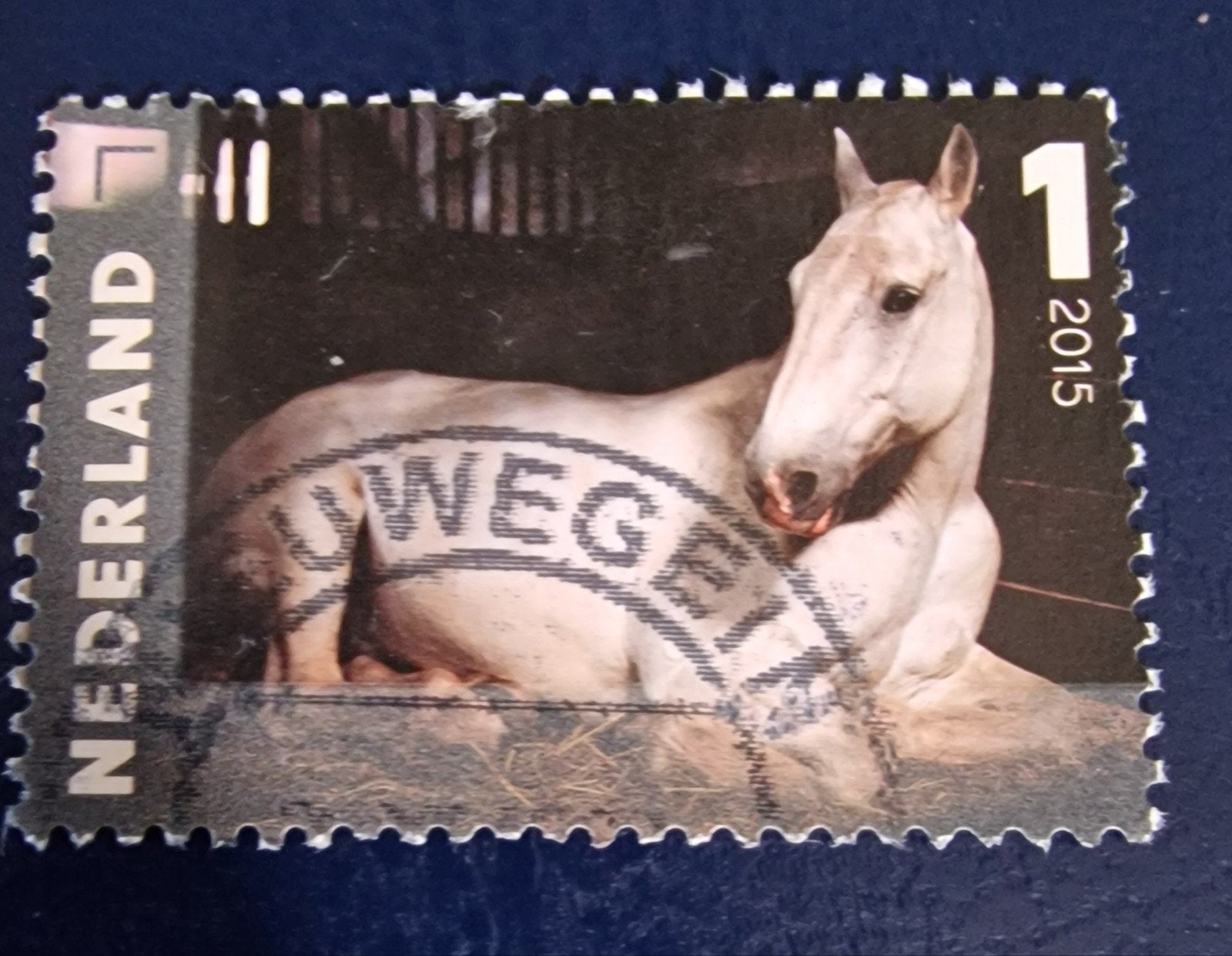 kv717  postzegel 2015 - Paard - Gestempeld, Ophalen of Verzenden, Na 1940, Gestempeld