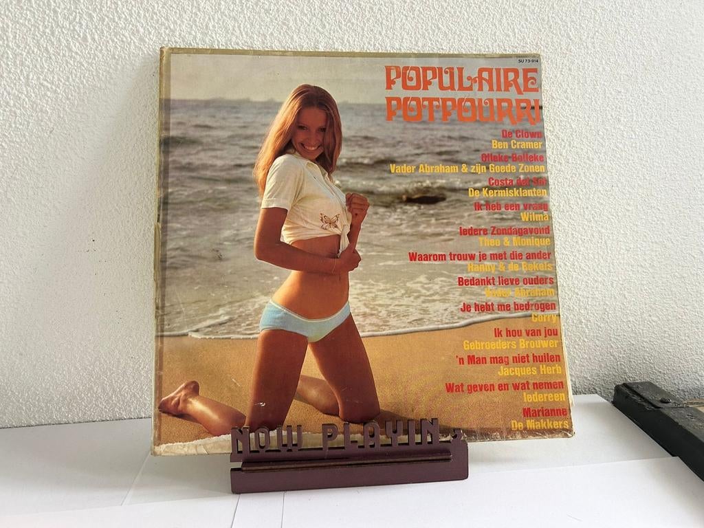 Populaire potpourri, Ophalen of Verzenden, Gebruikt, 12 inch, Nederlandstalig